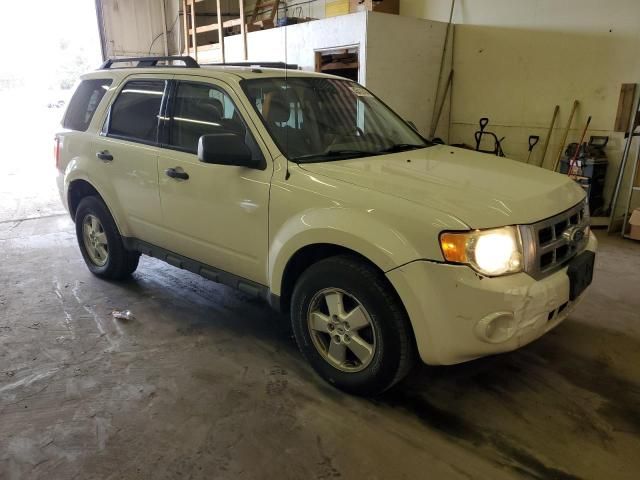 2010 Ford Escape XLT