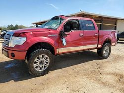 Salvage cars for sale from Copart Tanner, AL: 2010 Ford F150 Supercrew