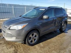 2014 Ford Escape SE for sale in Nisku, AB