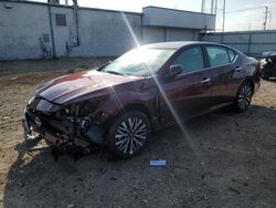 Salvage cars for sale from Copart Chicago Heights, IL: 2023 Nissan Altima SV