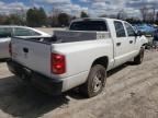 2005 Dodge Dakota Quattro