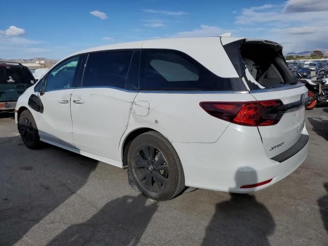 2023 Honda Odyssey SPORT-L