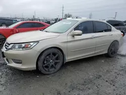 Honda Accord exl salvage cars for sale: 2013 Honda Accord EXL