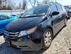 Salvage cars for sale at Bridgeton, MO auction: 2015 Honda Odyssey EXL