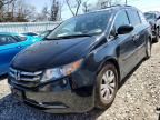 2015 Honda Odyssey EXL