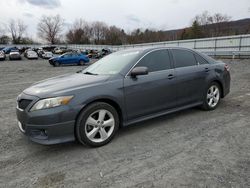 Salvage cars for sale from Copart Grantville, PA: 2010 Toyota Camry Base
