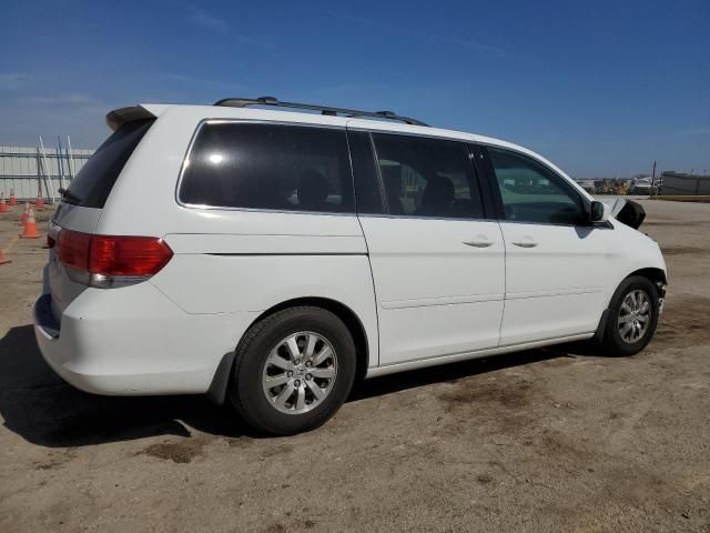 2009 Honda Odyssey EXL