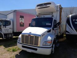 Salvage trucks for sale at Colton, CA auction: 2023 Peterbilt 536