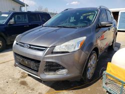 Salvage cars for sale at Pekin, IL auction: 2014 Ford Escape Titanium