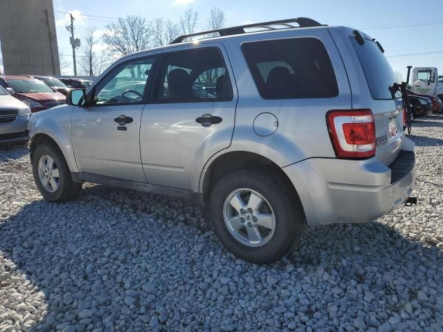 2009 Ford Escape XLT