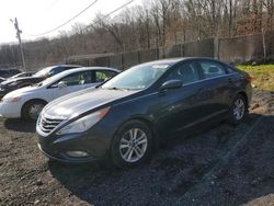 Salvage cars for sale at Finksburg, MD auction: 2013 Hyundai Sonata GLS