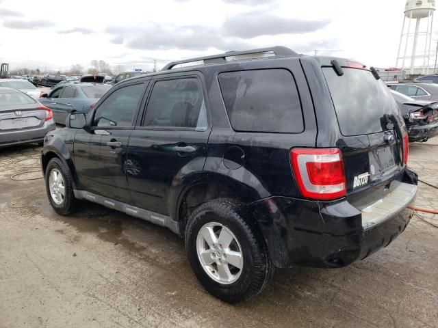 2010 Ford Escape XLT