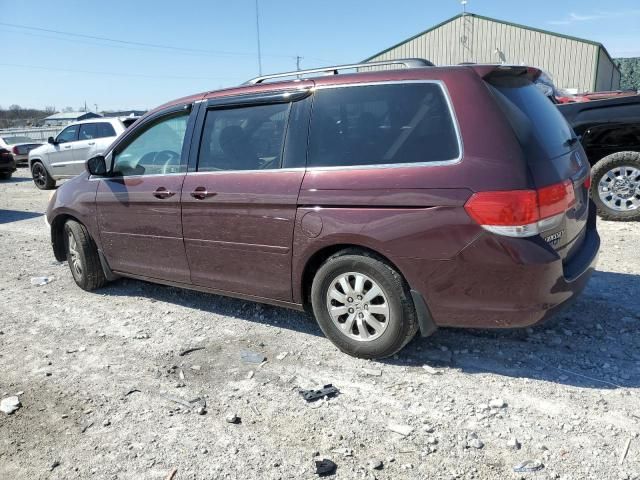 2010 Honda Odyssey EXL