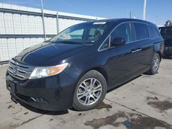Salvage cars for sale at Littleton, CO auction: 2013 Honda Odyssey EXL