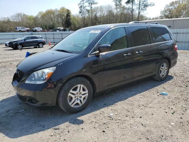 2006 Honda Odyssey EXL