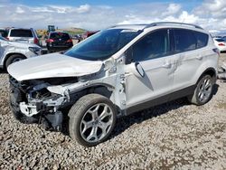 Ford Escape Titanium salvage cars for sale: 2017 Ford Escape Titanium