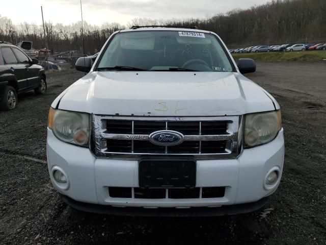 2011 Ford Escape XLT