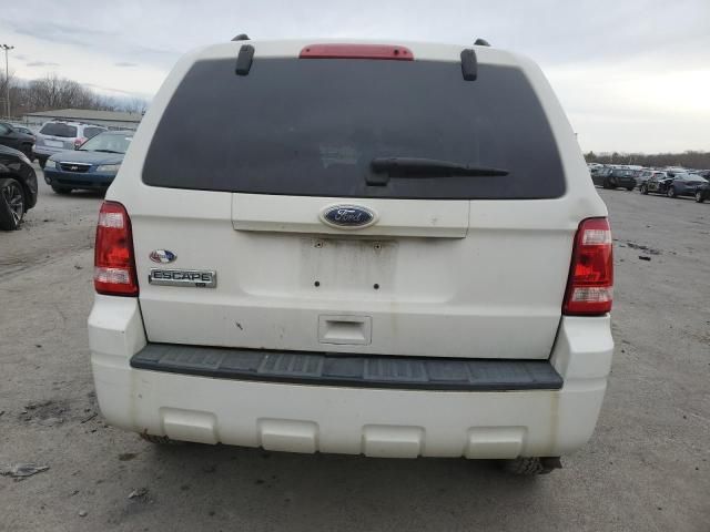 2010 Ford Escape XLT