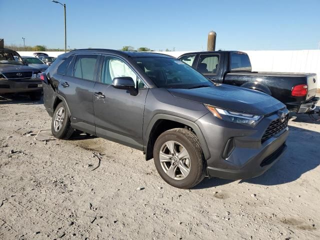 2024 Toyota Rav4 XLE