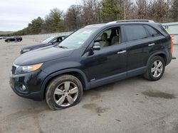 Salvage cars for sale at Brookhaven, NY auction: 2013 KIA Sorento EX