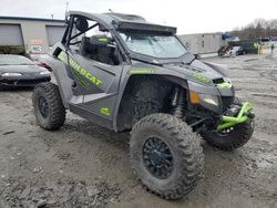 2018 Text Wild Cat en venta en Duryea, PA