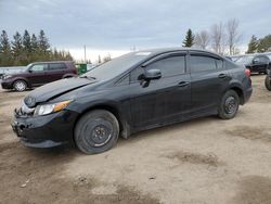 Honda Civic LX salvage cars for sale: 2012 Honda Civic LX