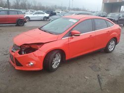 Ford Focus SEL salvage cars for sale: 2012 Ford Focus SEL