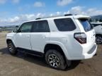 2024 Toyota 4runner SR5/SR5 Premium