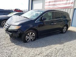 Salvage cars for sale from Copart -no: 2015 Honda Odyssey EXL