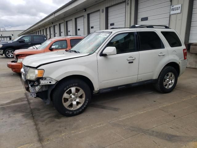 2012 Ford Escape Limited