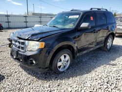 Ford salvage cars for sale: 2012 Ford Escape XLT