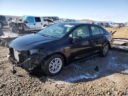 Toyota salvage cars for sale: 2021 Toyota Corolla LE