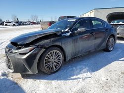 2024 Lexus IS 300 for sale in Rocky View County, AB