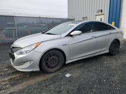 Carros con título limpio a la venta en subasta: 2013 Hyundai Sonata Hybrid