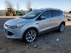 Salvage cars for sale at Appleton, WI auction: 2013 Ford Escape Titanium
