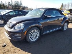 Volkswagen Vehiculos salvage en venta: 2019 Volkswagen Beetle S