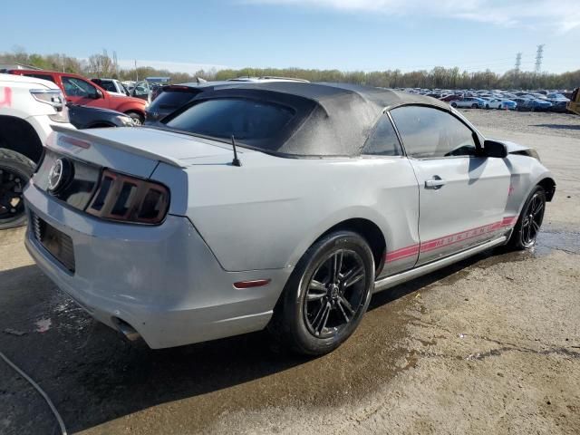 2013 Ford Mustang