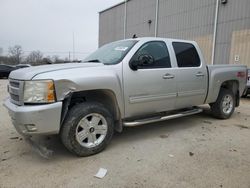 Salvage cars for sale from Copart Lawrenceburg, KY: 2010 Chevrolet Silverado K1500 LT