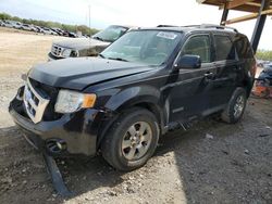 Ford salvage cars for sale: 2011 Ford Escape Limited