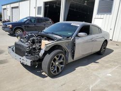 Salvage cars for sale at Gaston, SC auction: 2016 Dodge Charger R/T