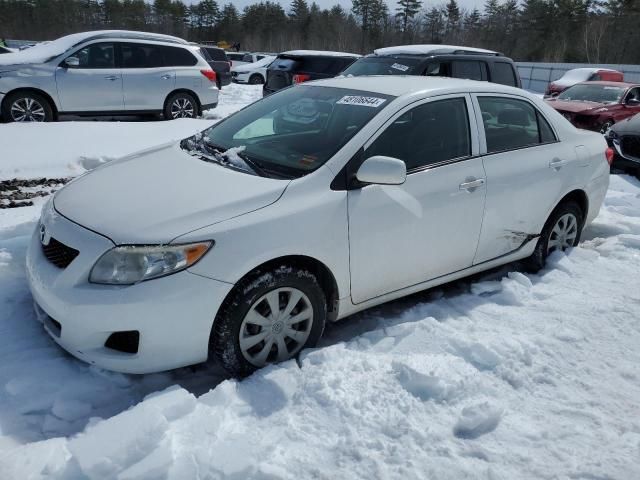 2010 Toyota Corolla Base