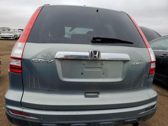 2010 Honda CR-V EX