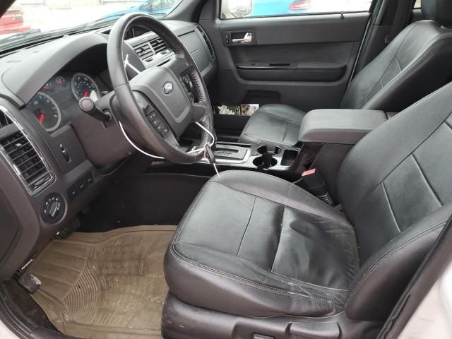 2010 Ford Escape Limited