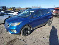 Ford Escape SE salvage cars for sale: 2017 Ford Escape SE