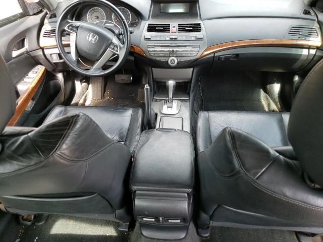 2011 Honda Accord EXL