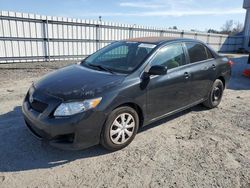 Salvage cars for sale from Copart Fredericksburg, VA: 2010 Toyota Corolla Base