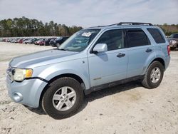 Ford Escape hev salvage cars for sale: 2008 Ford Escape HEV