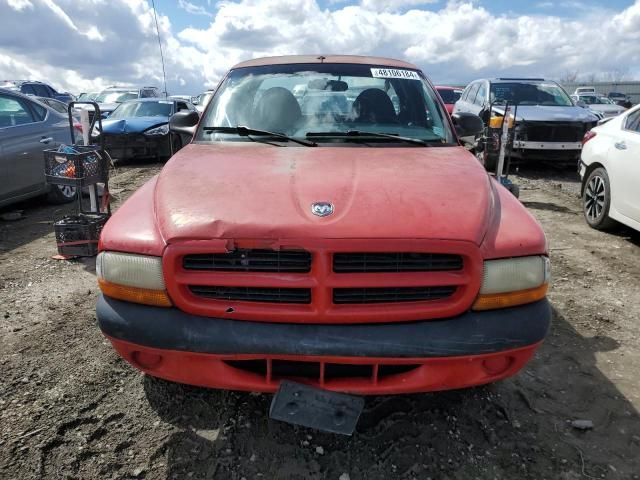 1998 Dodge Dakota