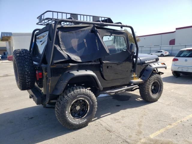 1993 Jeep Wrangler / YJ S