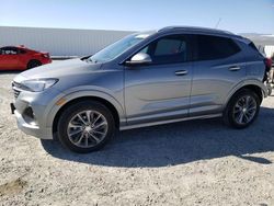 Salvage cars for sale from Copart Adelanto, CA: 2023 Buick Encore GX Select